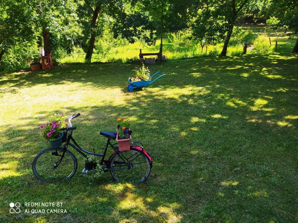 Casas Vale Martinho Bed & Breakfast Санта Комба Дао Екстериор снимка