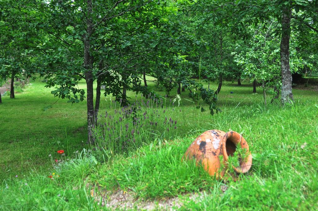 Casas Vale Martinho Bed & Breakfast Санта Комба Дао Екстериор снимка